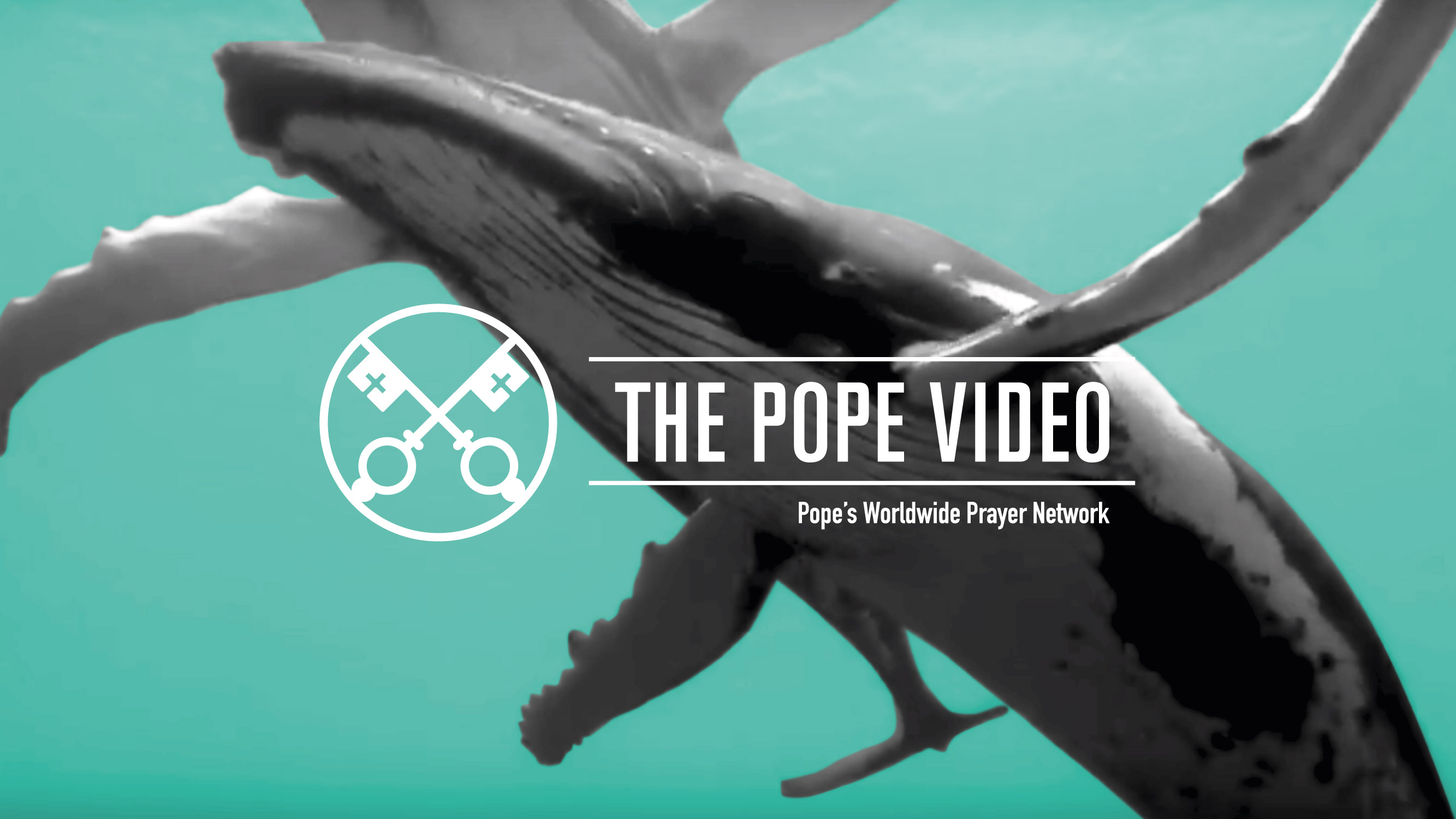 The Pope Video September 2019 (Official Image)