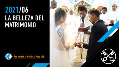La belleza del matrimonio - The Pope Video 6