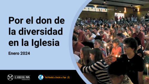 Official Image - TPV 01 2024 ES - Por el don de la diversidad en la Iglesia - 889x500