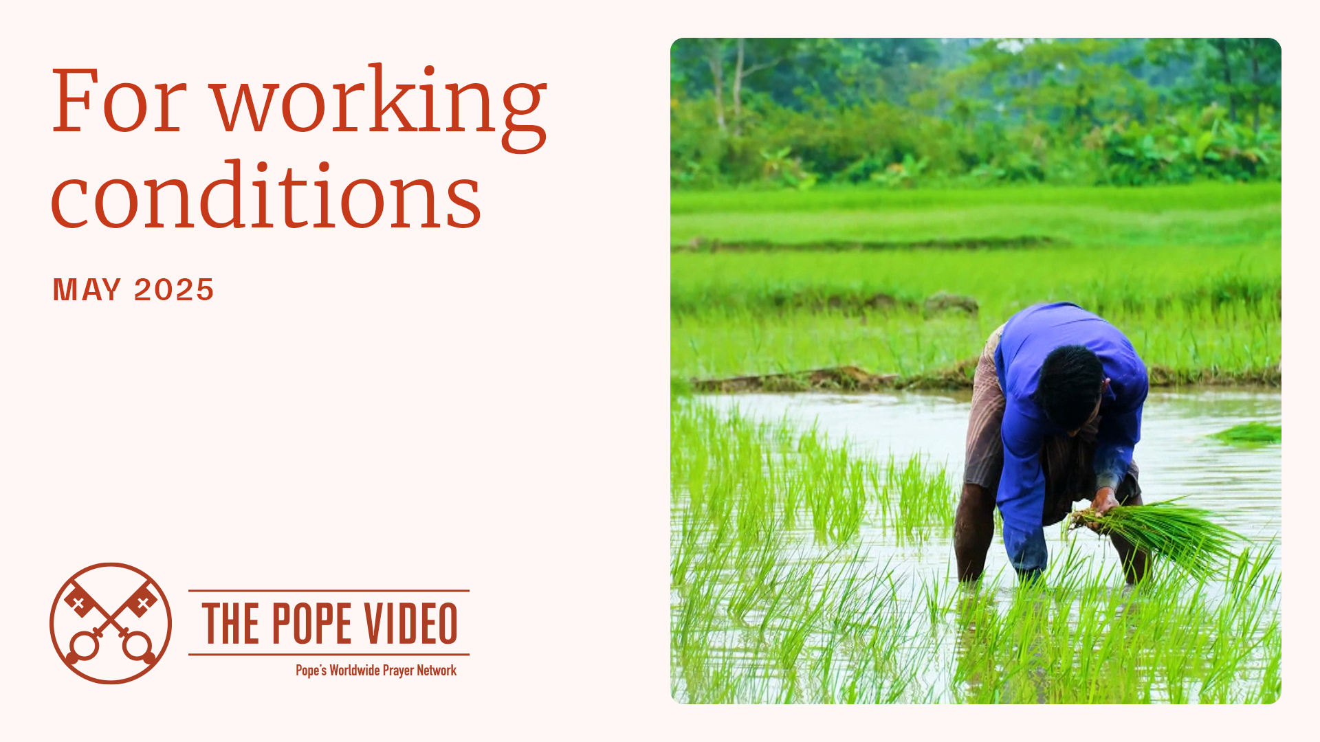 MAY | For working conditions