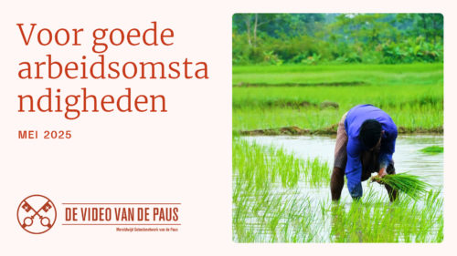 MEI | Voor goede arbeidsomstandigheden