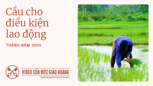 THÁNG NĂM | Cầu nguyện cho điều kiện lao động