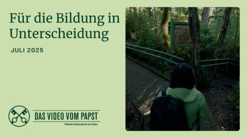 DE - Youtube Thumbnail TPV 7 2025 - Fur die Bildung in Unterscheidung
