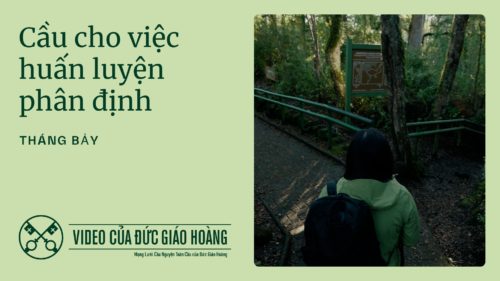 VN - Youtube Thumbnail TPV 7 2025 - Cầu cho việc huấn luyện phân định