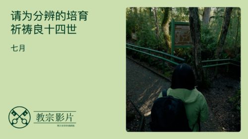 CN Simp - Youtube Thumbnail TPV 7 2025 -请为分辨的培育祈祷良十四世