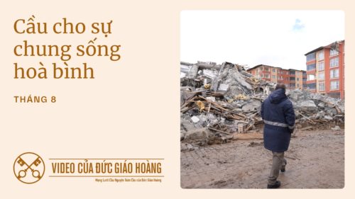 VN - Youtube Thumbnail TPV 8 2025 - Cầu cho sự chung sống hoà bình