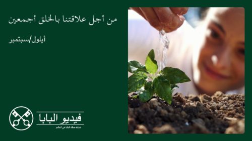 صورة مميزة من فيديو البابا الجديد لشهر سبتمبر 2025
