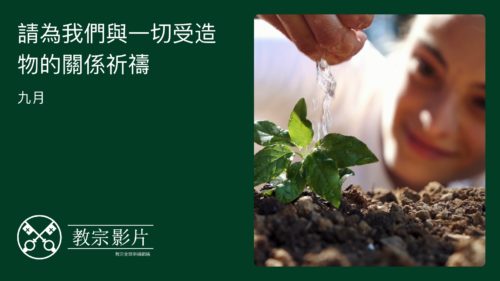 2025 年 9 月新教宗影片中的特色圖片