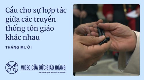 Image for the Pope's video of October