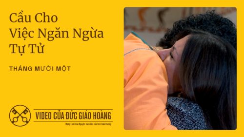 Imágen destacada del Video del Papa Noviembre 2025