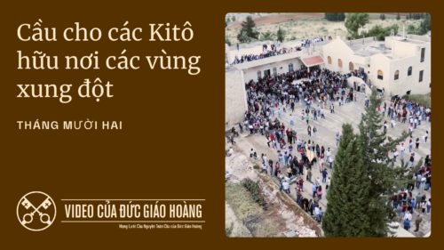 imagen destacada del Video del Papa Diciembre 2025